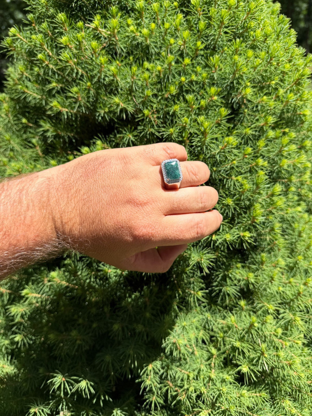 Moissanite Fortress Ring | 925 Silver