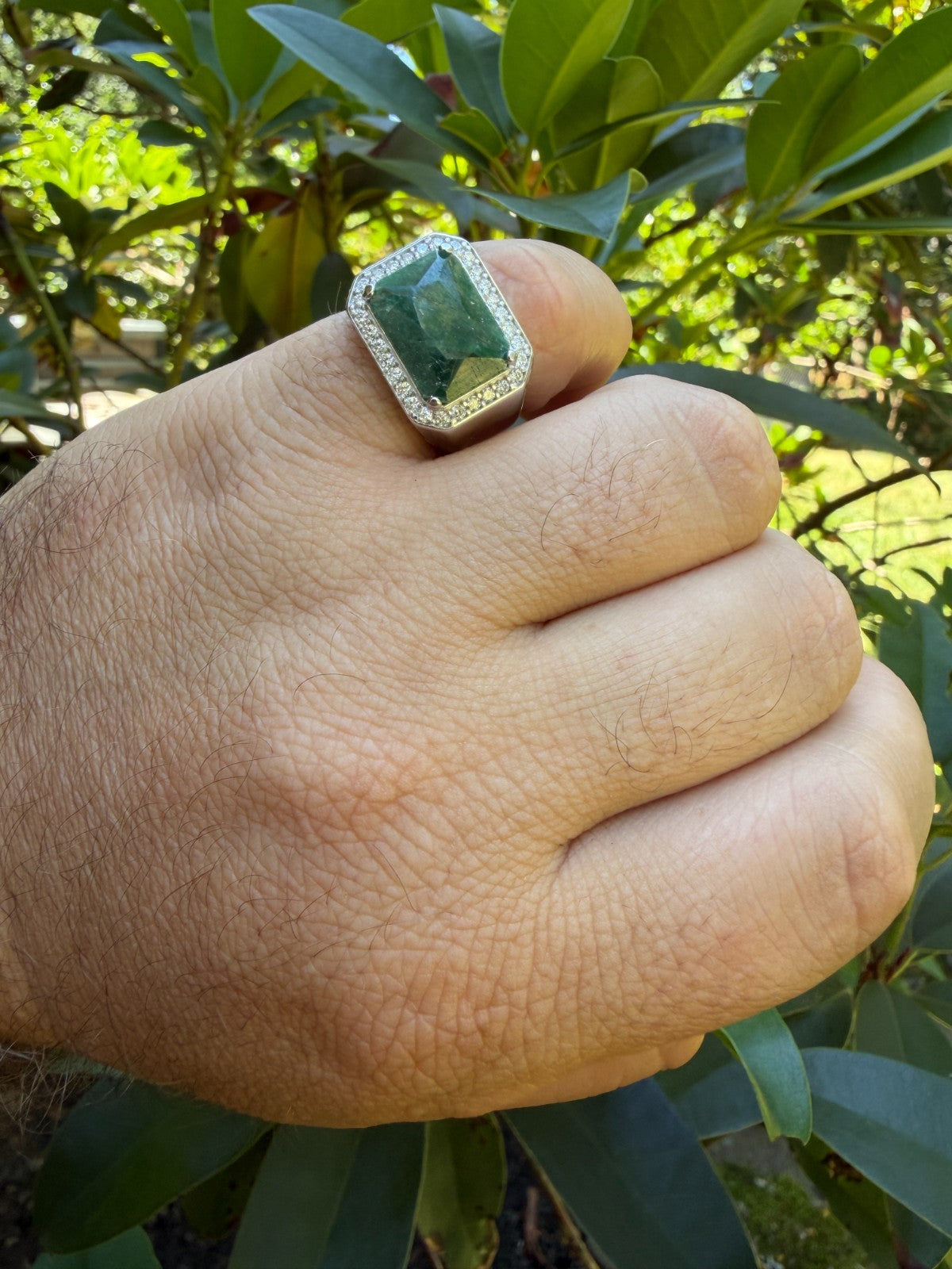 Moissanite Fortress Ring | 925 Silver